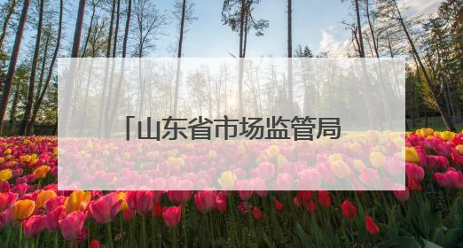 山东省市场监管局公布2024年电热毯产品质量省级专项监督抽查结果