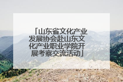 山东省文化产业发展协会赴山东文化产业职业学院开展考察交流活动