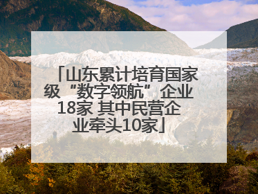 山东累计培育国家级“数字领航”企业18家 其中民营企业牵头10家