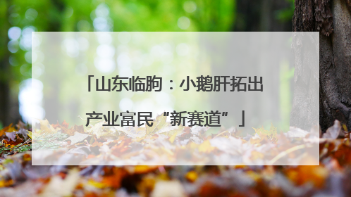 山东临朐：小鹅肝拓出产业富民“新赛道”
