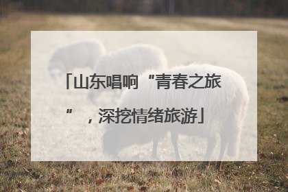 山东唱响“青春之旅”，深挖情绪旅游