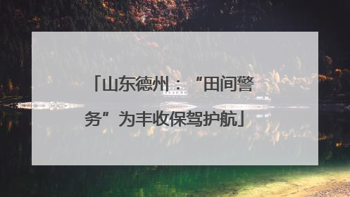 山东德州：“田间警务”为丰收保驾护航