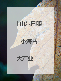 山东日照：小海马 大产业