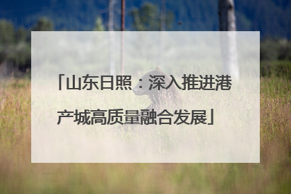 山东日照：深入推进港产城高质量融合发展