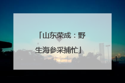 山东荣成：野生海参采捕忙