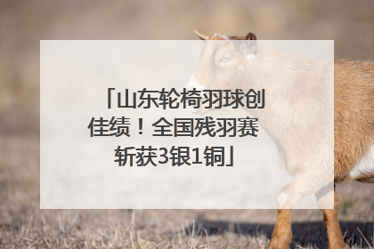 山东轮椅羽球创佳绩！全国残羽赛斩获3银1铜
