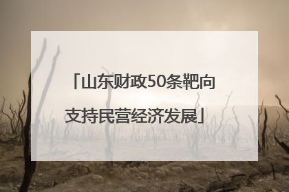 山东财政50条靶向支持民营经济发展