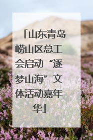 山东青岛崂山区总工会启动“逐梦山海”文体活动嘉年华