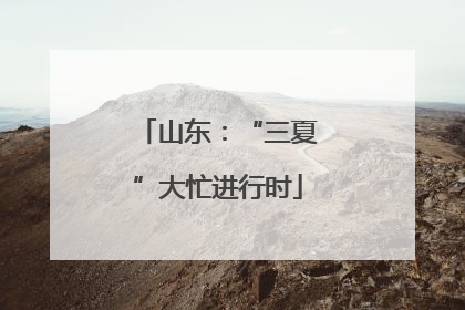 山东：“三夏”大忙进行时