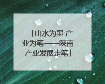 山水为墨 产业为笔——陕南产业发展走笔