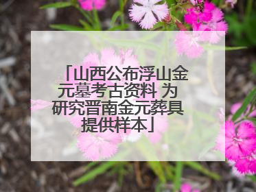 山西公布浮山金元墓考古资料 为研究晋南金元葬具提供样本