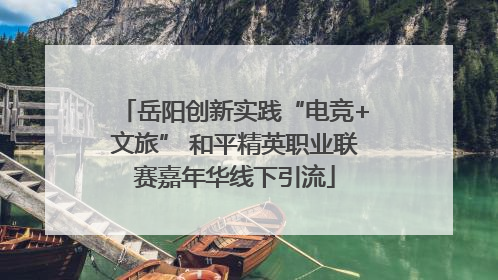 岳阳创新实践“电竞+文旅” 和平精英职业联赛嘉年华线下引流