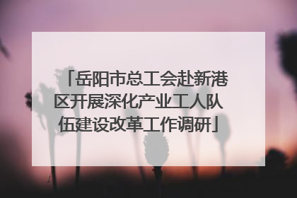 岳阳市总工会赴新港区开展深化产业工人队伍建设改革工作调研