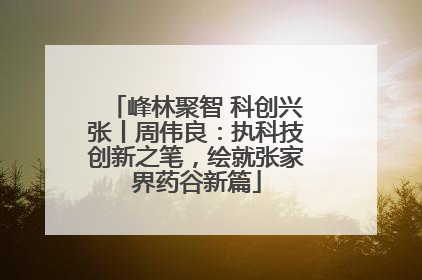 峰林聚智 科创兴张丨周伟良：执科技创新之笔，绘就张家界药谷新篇
