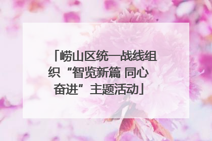 崂山区统一战线组织“智览新篇 同心奋进”主题活动