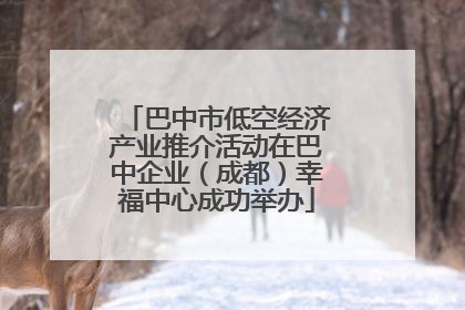 巴中市低空经济产业推介活动在巴中企业（成都）幸福中心成功举办