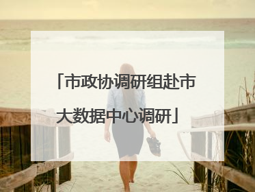 市政协调研组赴市大数据中心调研