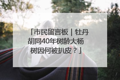 市民留言板｜牡丹胡同40年树龄大杨树因何被扒皮？