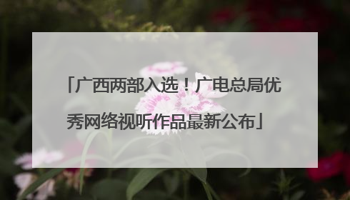 广西两部入选！广电总局优秀网络视听作品最新公布