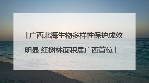 广西北海生物多样性保护成效明显 红树林面积居广西首位