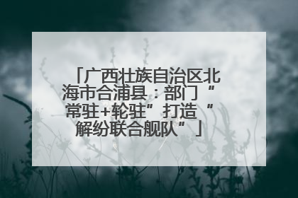 广西壮族自治区北海市合浦县：部门“常驻+轮驻”打造“解纷联合舰队”
