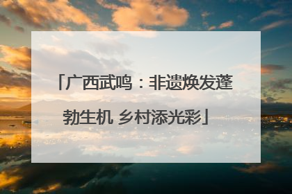 广西武鸣：非遗焕发蓬勃生机 乡村添光彩