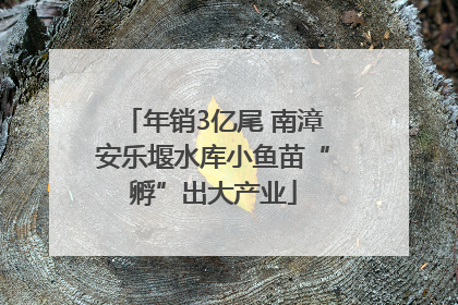 年销3亿尾 南漳安乐堰水库小鱼苗“孵”出大产业