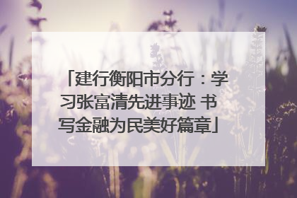 建行衡阳市分行：学习张富清先进事迹 书写金融为民美好篇章