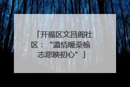 开福区文昌阁社区：“温情暖桑榆 志愿映初心”