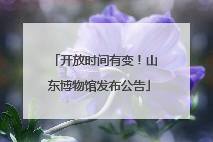 开放时间有变！山东博物馆发布公告