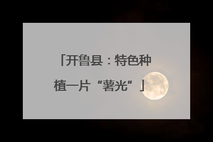 开鲁县：特色种植一片“薯光”