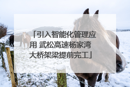 引入智能化管理应用 武松高速杨家湾大桥架梁提前完工