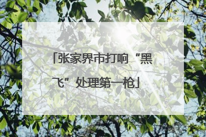 张家界市打响“黑飞”处理第一枪