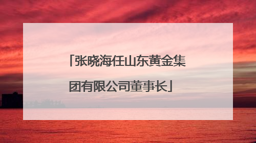 张晓海任山东黄金集团有限公司董事长