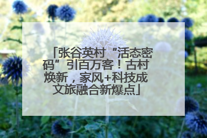 张谷英村“活态密码”引百万客！古村焕新，家风+科技成文旅融合新爆点