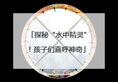 探秘“水中精灵”！孩子们直呼神奇