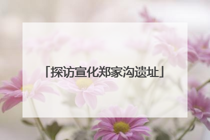 探访宣化郑家沟遗址