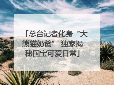 总台记者化身“大熊猫奶爸” 独家揭秘国宝可爱日常