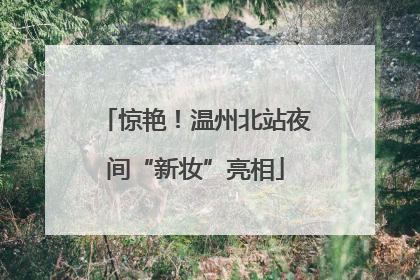 惊艳！温州北站夜间“新妆”亮相