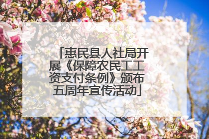 惠民县人社局开展《保障农民工工资支付条例》颁布五周年宣传活动