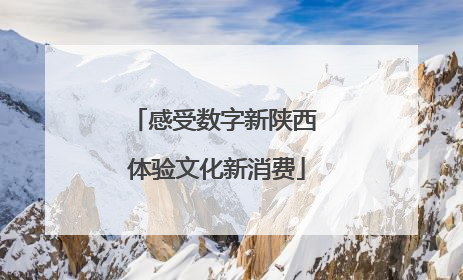 感受数字新陕西 体验文化新消费