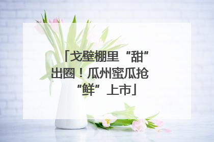 戈壁棚里“甜”出圈！瓜州蜜瓜抢“鲜”上市