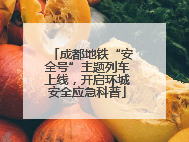 成都地铁“安全号”主题列车上线，开启环城安全应急科普