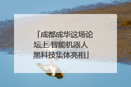 成都成华这场论坛上 智能机器人黑科技集体亮相