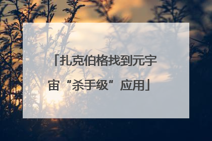 扎克伯格找到元宇宙“杀手级”应用