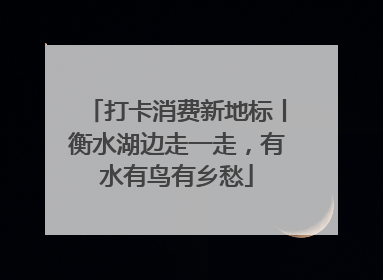 打卡消费新地标丨衡水湖边走一走，有水有鸟有乡愁