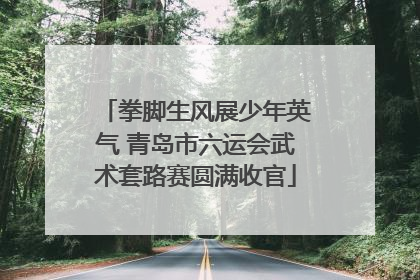 拳脚生风展少年英气 青岛市六运会武术套路赛圆满收官