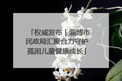 权威发布｜淄博市民政局汇聚合力守护孤困儿童健康成长