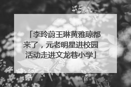 李玲蔚王琳黄雅琼都来了，元老明星进校园活动走进文龙巷小学