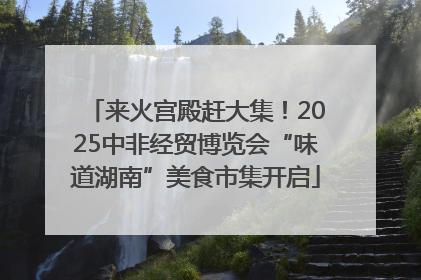 来火宫殿赶大集！2025中非经贸博览会“味道湖南”美食市集开启